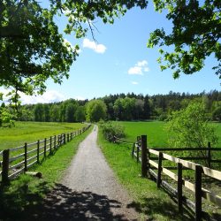 Östra Järvafältets naturreservat Östra Järvafältets naturreservat