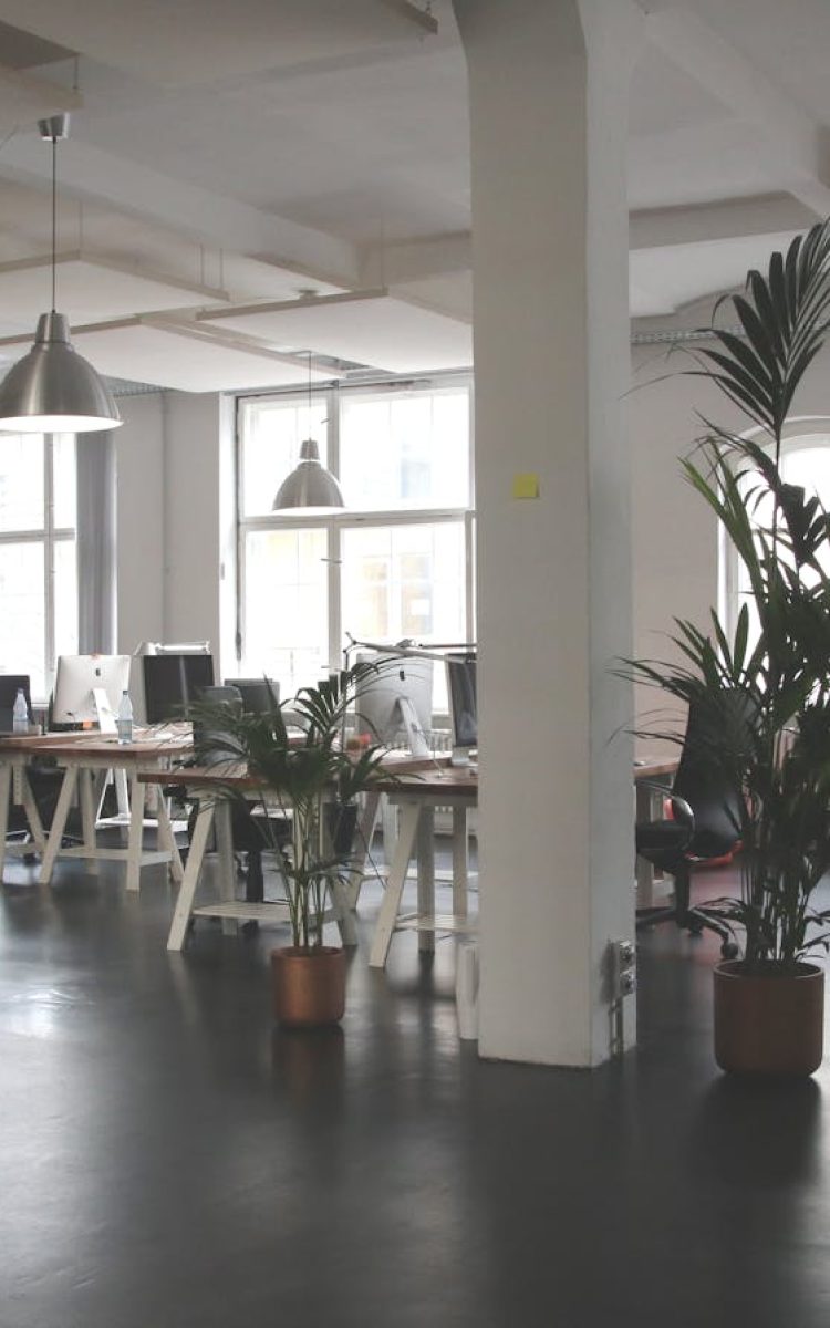 Photo by Marc Mueller Spacious modern office interior with desks, plants, and natural lighting in Berlin.