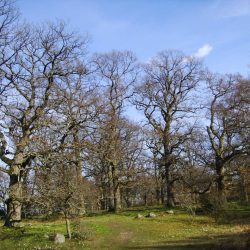 Ekebysjöns naturreservat