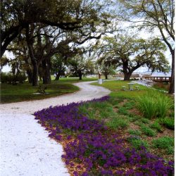 Ensta krog Ensta krog