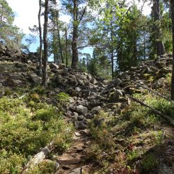 Tyresta Nationalpark
