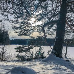 Roslagsleden