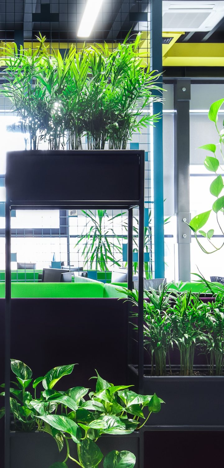 Empty workplaces in modern office with plants