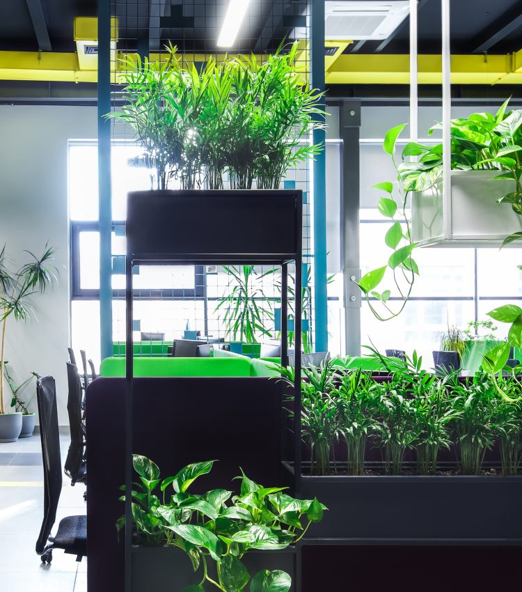 Empty workplaces in modern office with plants Empty workplaces in modern office with plants