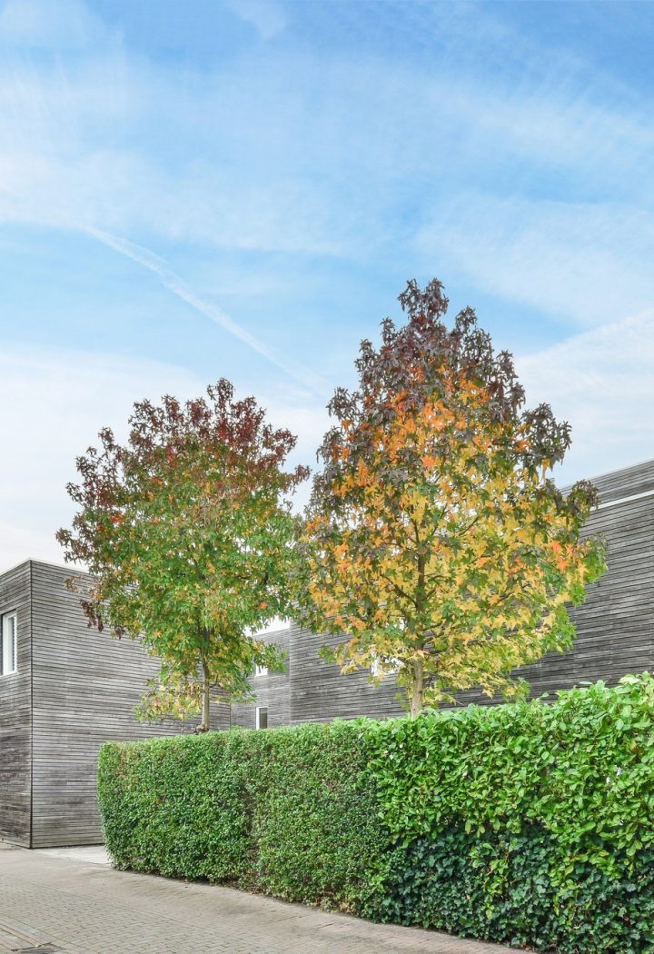 Modern house facade